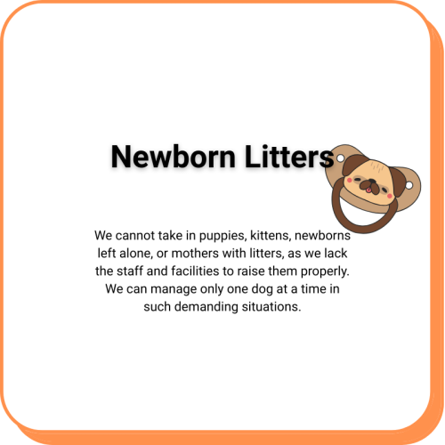 Limited Capacity for Cats